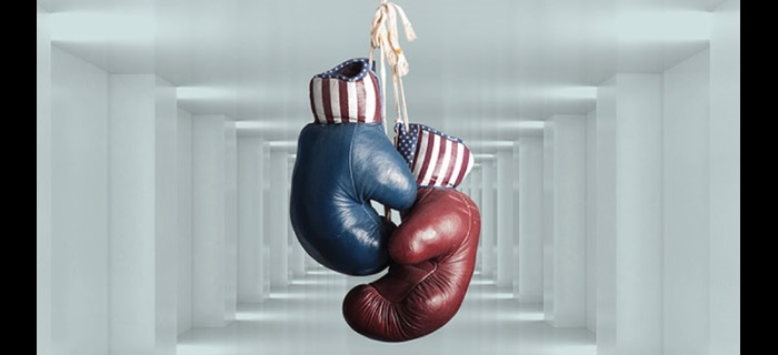 Red and blue boxing gloves
