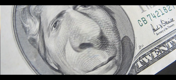 Fish eye twenty dollar bill