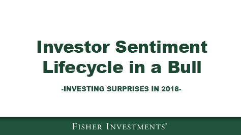 Investor Sentiment Lifecycle in a Bull