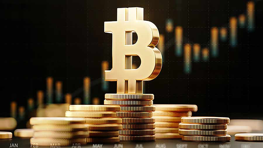 Fisher Investments Reviews: Should You Buy Bitcoin?