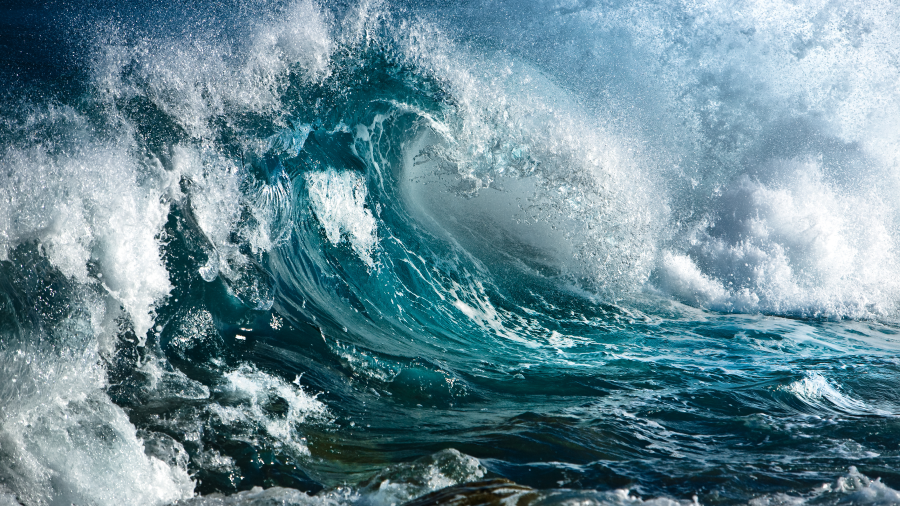 The Risk in Seeking ‘Safety’
