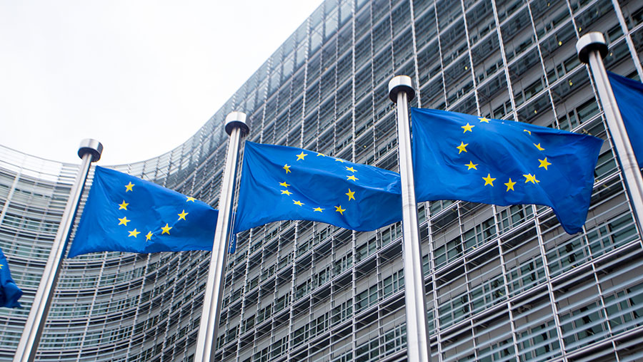 Europe’s Resilient Q1 GDP