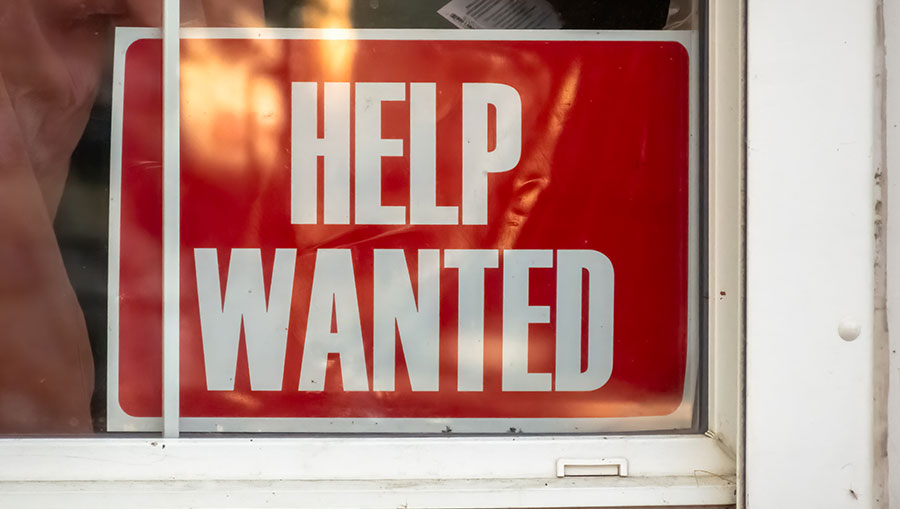 What the Long-Awaited Jobs Data Really Revealed