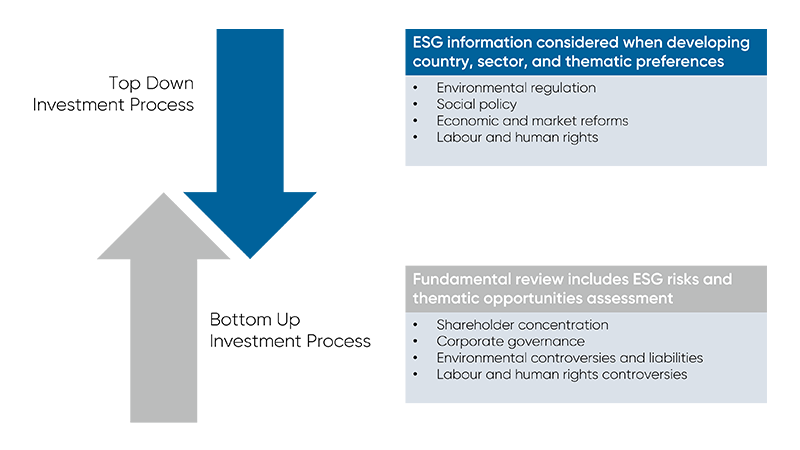 Top Down Investment Process