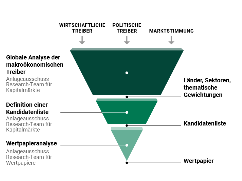 Our investment process graphic