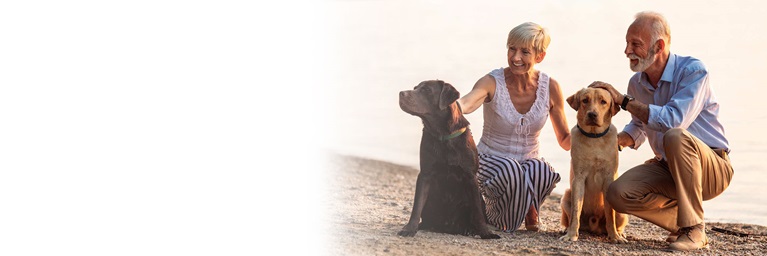 Couple on beach of lake pet two dogs smiling