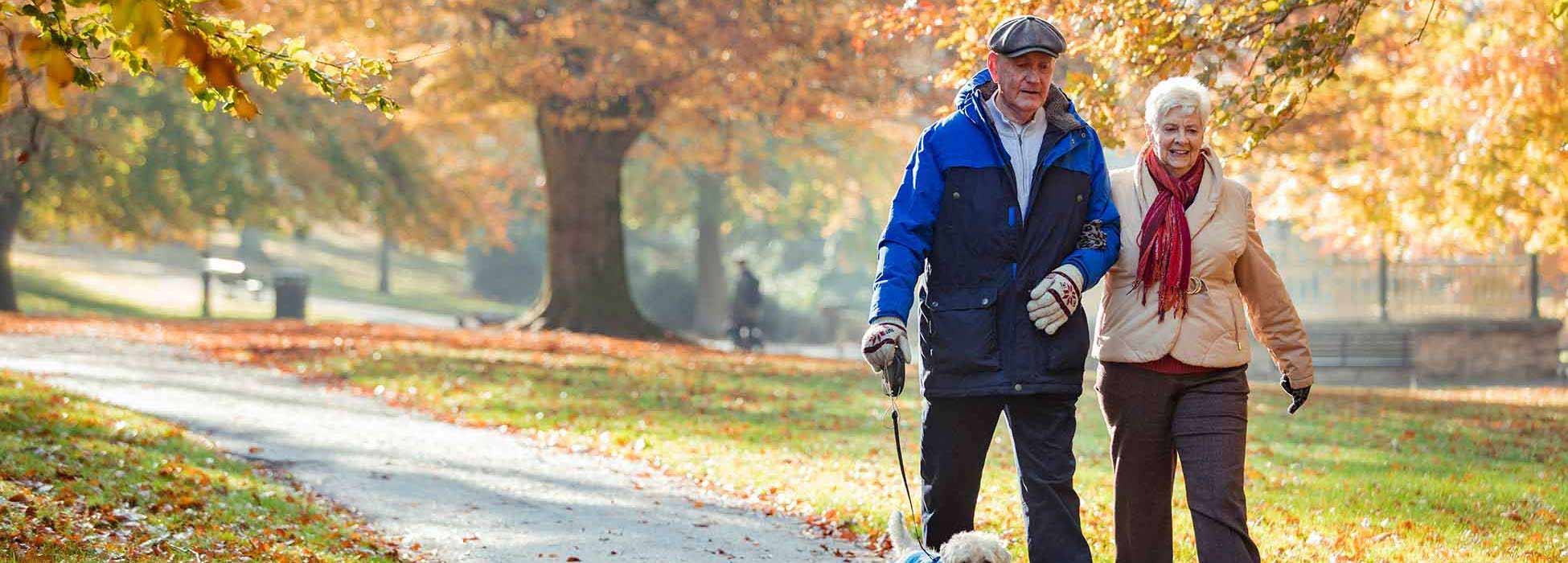 couple walking with dog