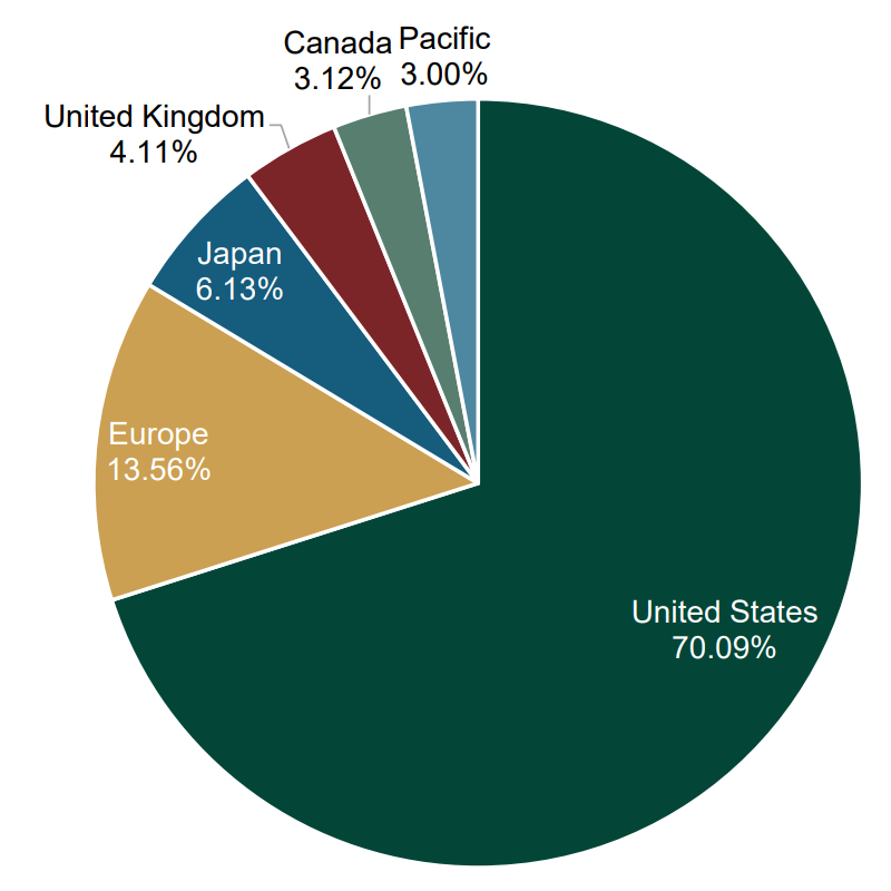 Pie chart showing the percentage each country represents of the global investment economy