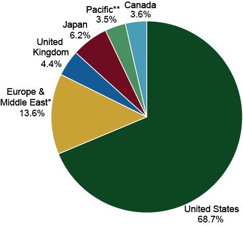 Pie chart showing the percentage each country represents of the global investment economy