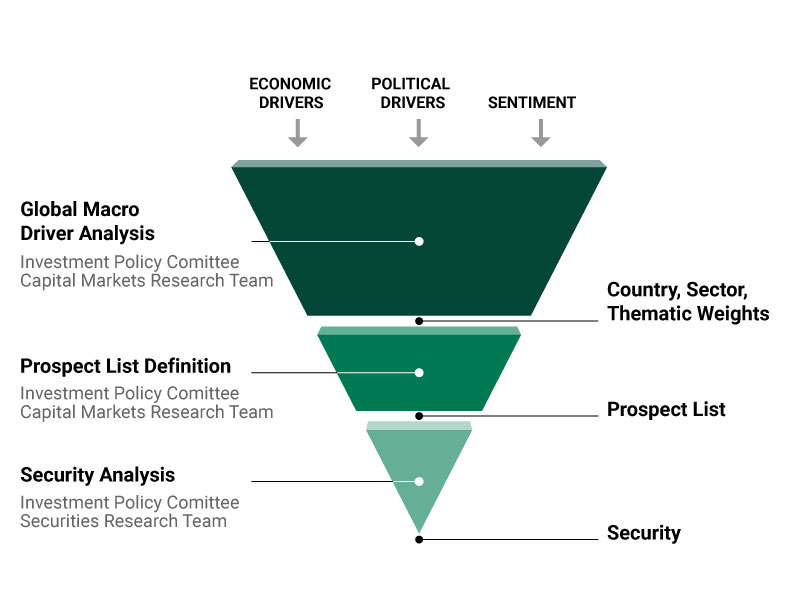 Our investment process graphic
