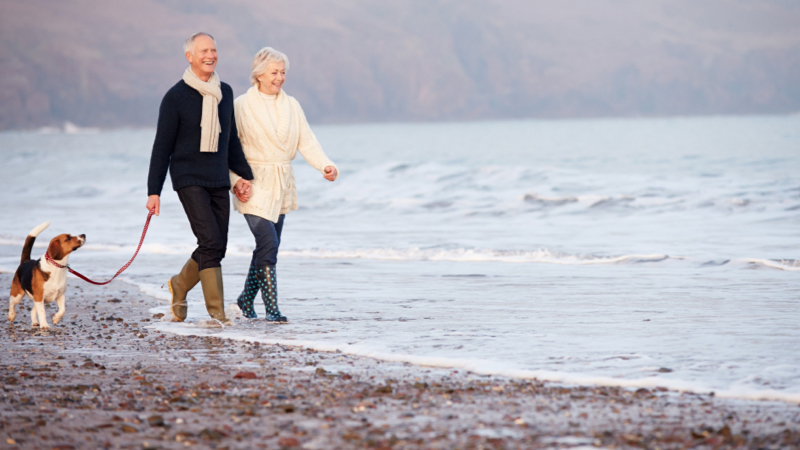 Older couple walking on the beach with a dog