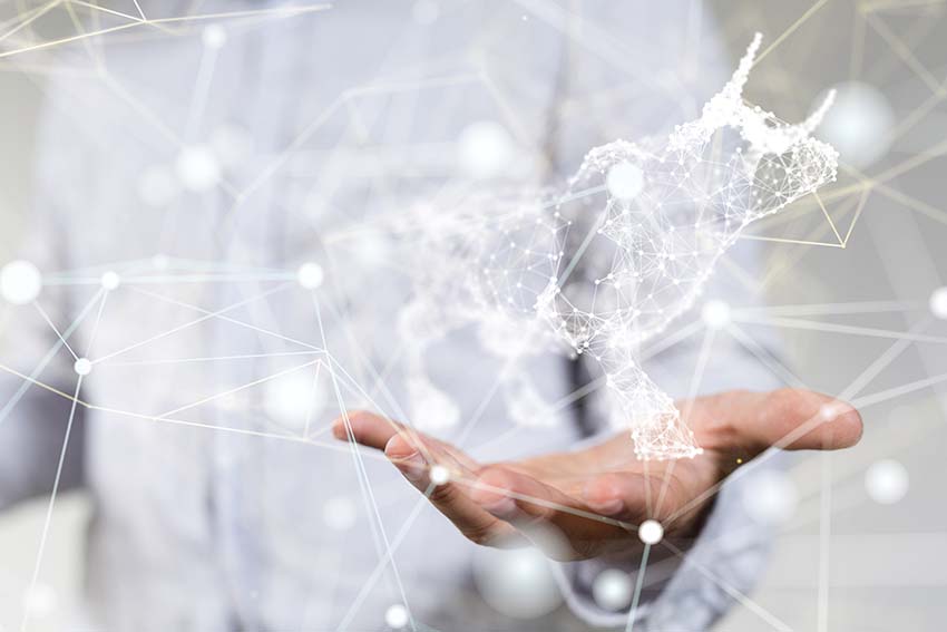 Man with a bull constellation overlay