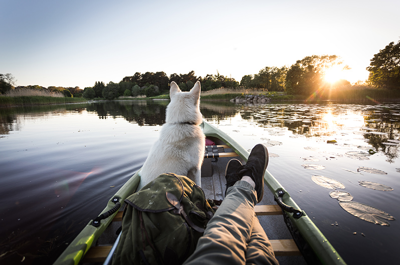 Man with dog on a Kayak with blues skies and sunset