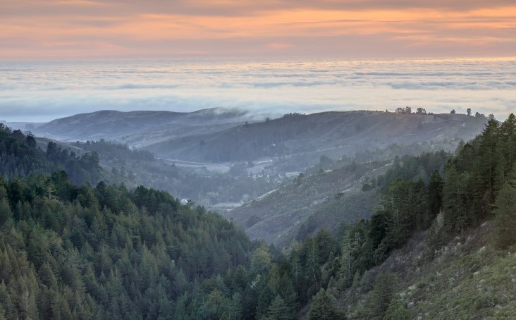sunrise over the woods