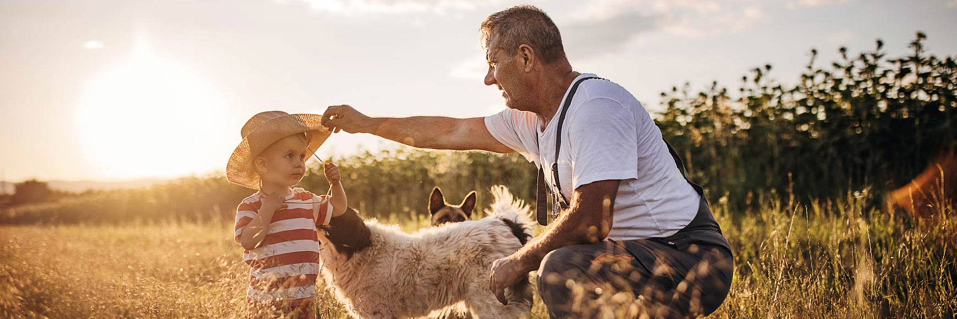 A boy playing in the field with Grandfather.