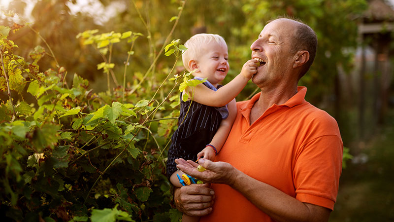 kid feeding dad berries